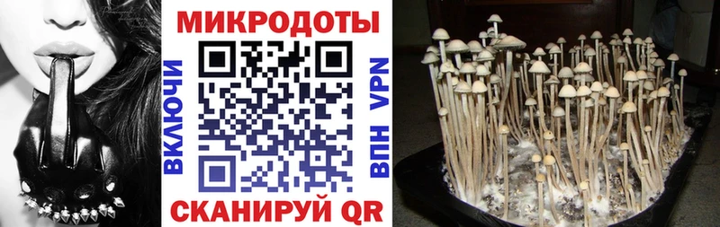Псилоцибиновые грибы ЛСД  ОМГ ОМГ ТОР  Покачи 
